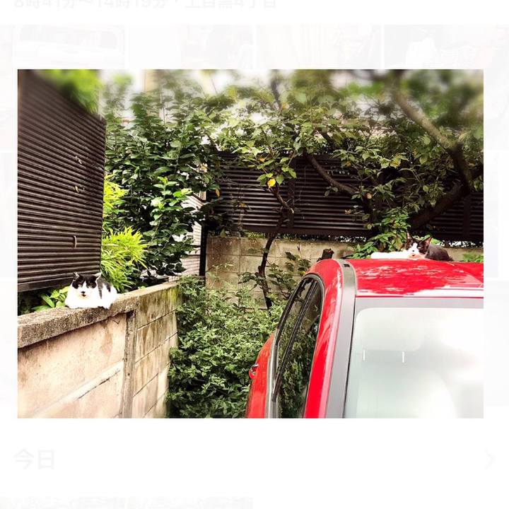 Fe33b292 3d0f 4b30 bb69 539be80aedfc