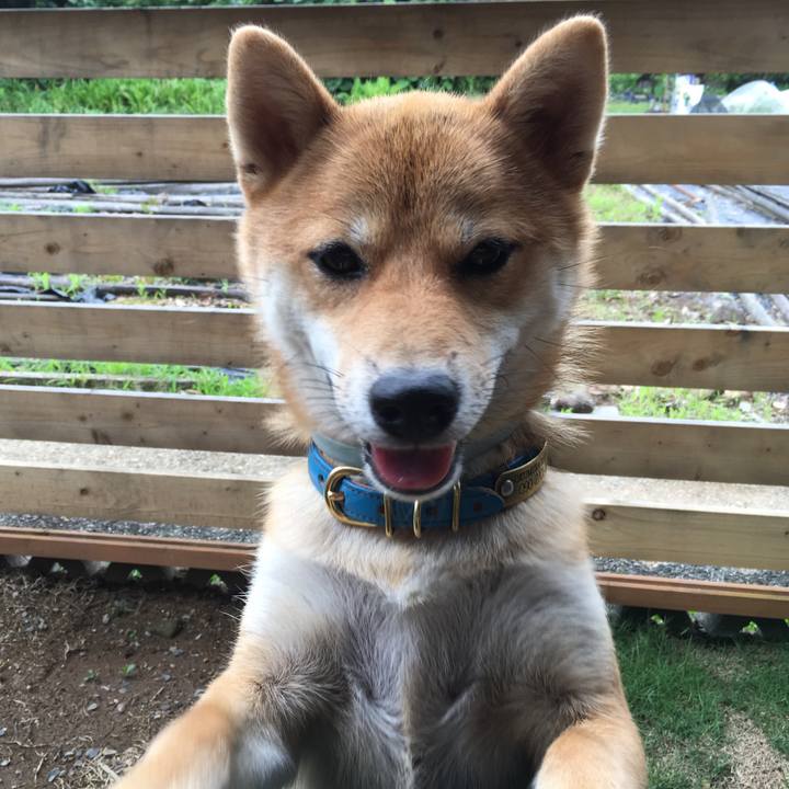 Fe345331 8b96 4c1a 831c 4d61957a0cd3