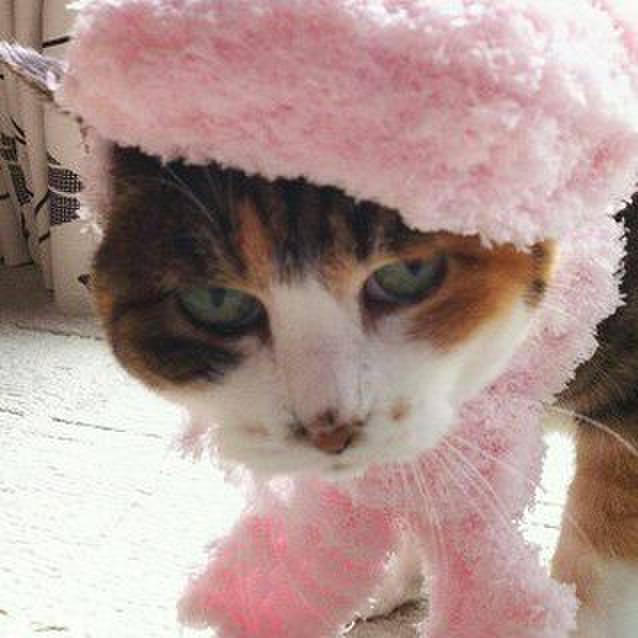 Fe349435 3524 463c 9ef2 2a5ca51f6b14