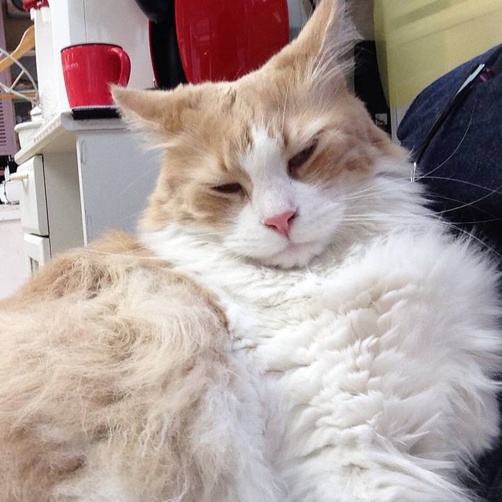 Fe34b88f 4f8d 49ae a0d3 e868408faa34