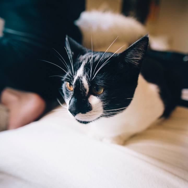 Fe34ba04 9c49 4800 a40c 55b6daf79c47