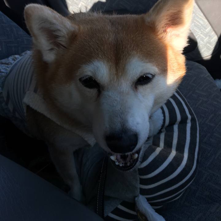 Fe34c1f7 3a29 4063 9888 982761792ee5