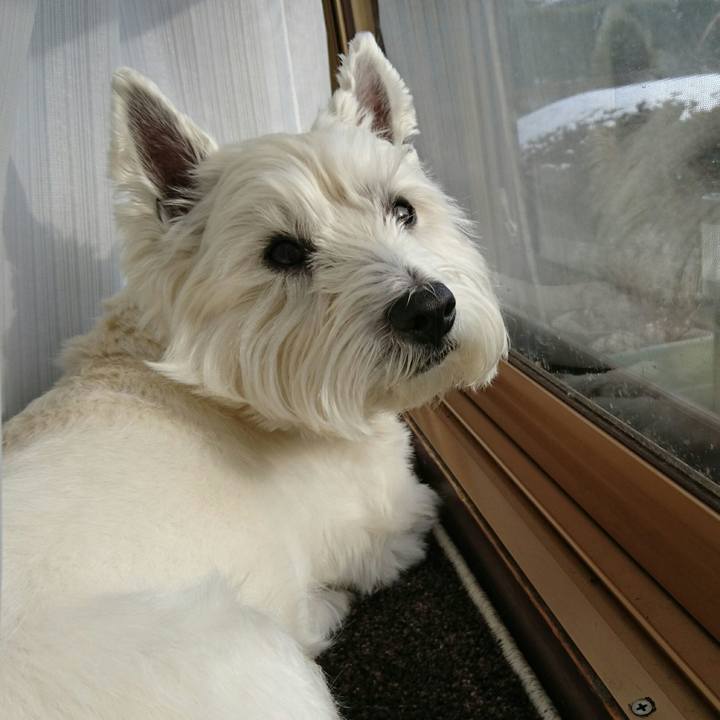 Fe3522ef 141c 4cee 843b e680e74638a5