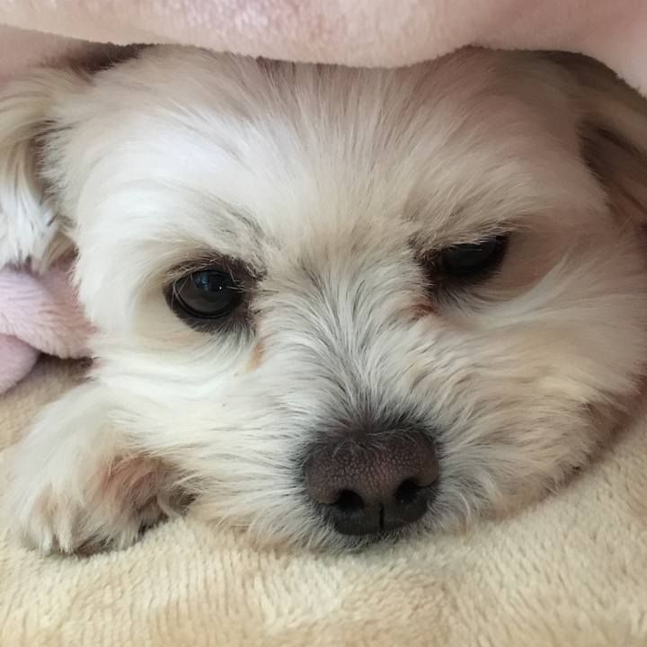 Fe3542fa 0cb7 4217 a411 47f289532a28