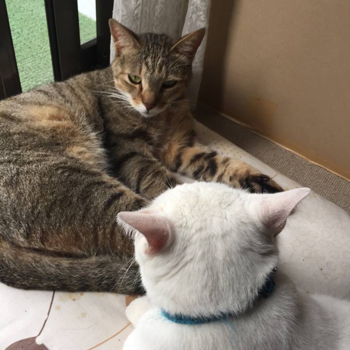 Fe35db67 7892 47d0 8b4e 32e307d195d5