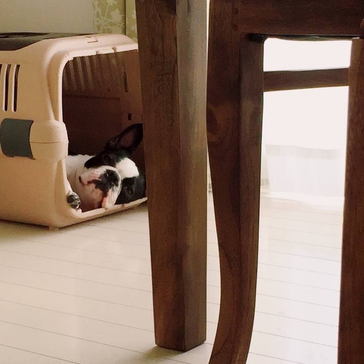 Fe3636d0 2dc2 49ea 87e9 e9bb824f00b6