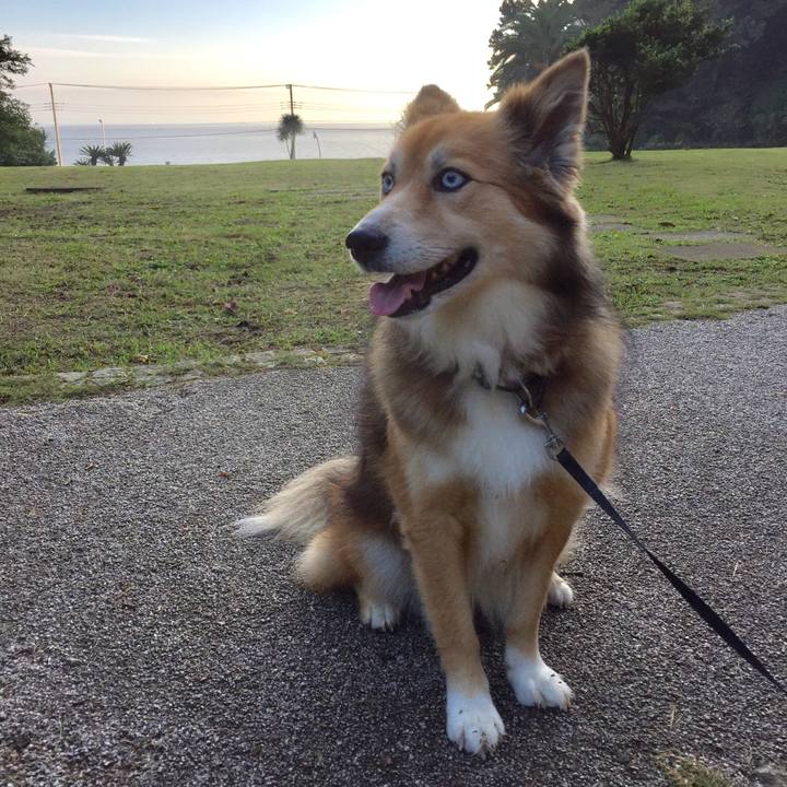 Fe369baf 6580 4228 8c45 2dce15447466