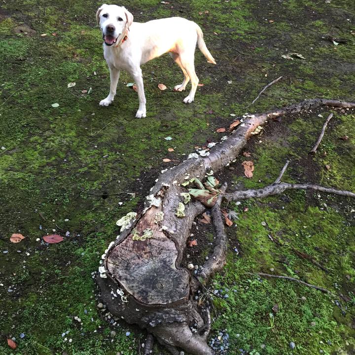 Fe376a05 af8c 4d1c 910a 2ba77ea567b5