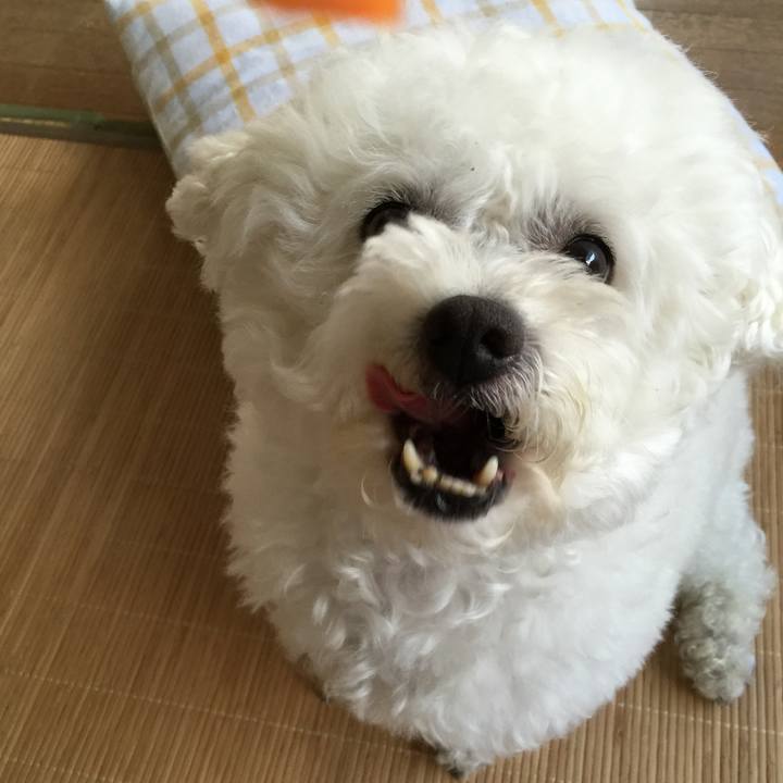 Fe37b9f8 c5ea 4984 8a3d 22f1a345c8da