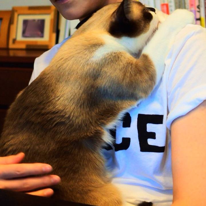 Fe37ff37 5e92 4cc5 81ce e2ad7257e382