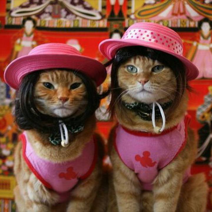 Fe38082d a84e 41a9 bca3 63a5130df7af