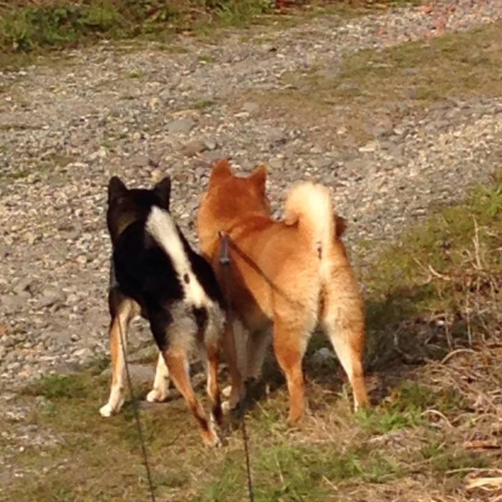 Fe3840d6 1969 4485 b0c1 ed1016958949