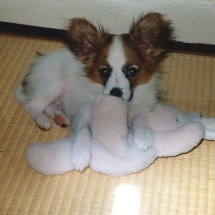 Fe397a50 80aa 463f bb50 c7023deb2f64