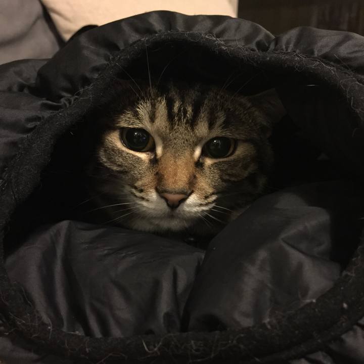 Fe397c15 fd96 416e 8f27 1b55e25b04ad