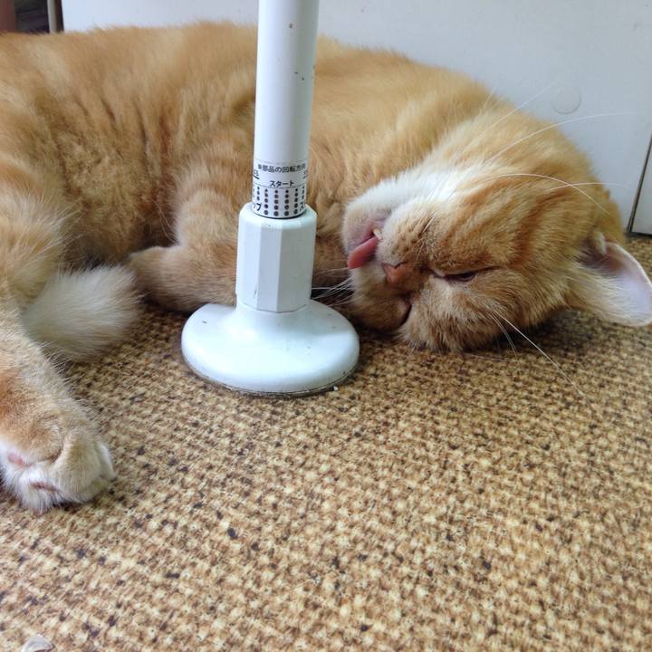 Fe39a83b 4fc4 4e1e b445 5411fa849b1d