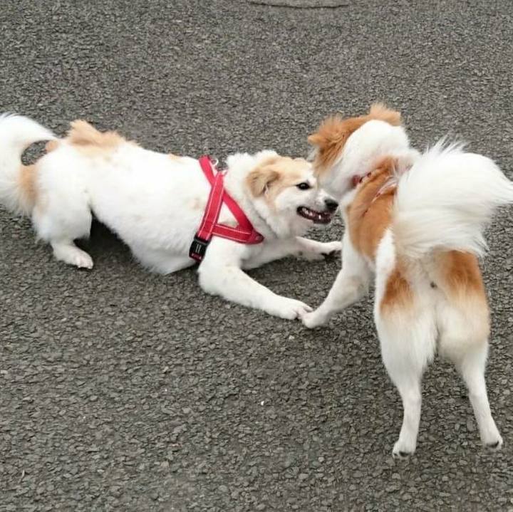 Fe39c697 e785 4768 a2b0 4a8c5cc8ee18