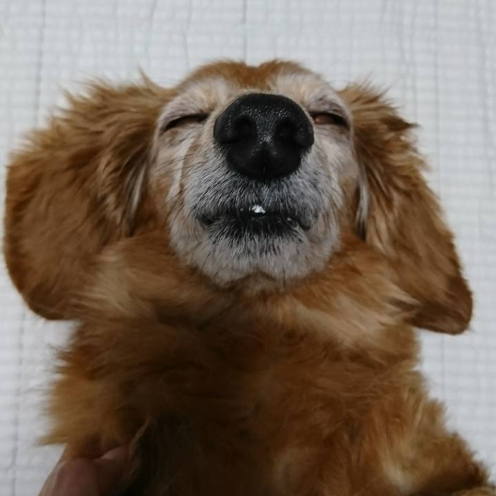 Fe39f1fd 9ad2 4a4c b5c4 d28498eac9b1