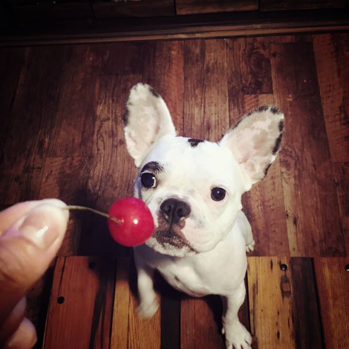 Fe39f727 5008 458d aaaf a03158caeca4