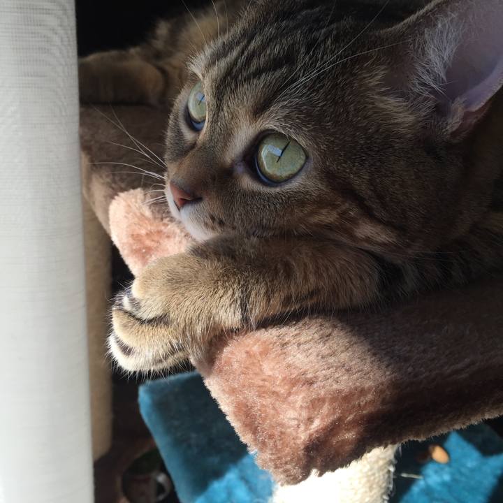 Fe3a1cf4 bbac 4927 b378 e89573404f98