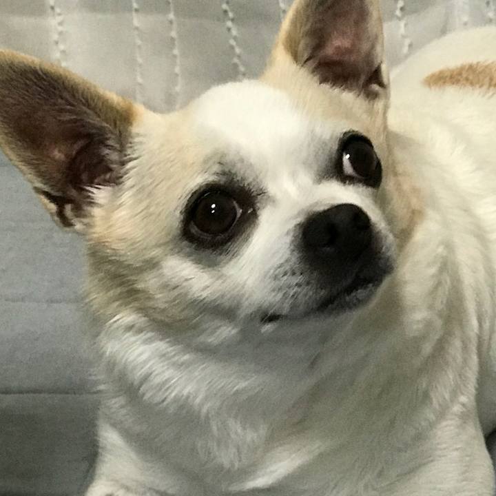 Fe3a271c 3822 47ad 9f76 28b1326c7f58