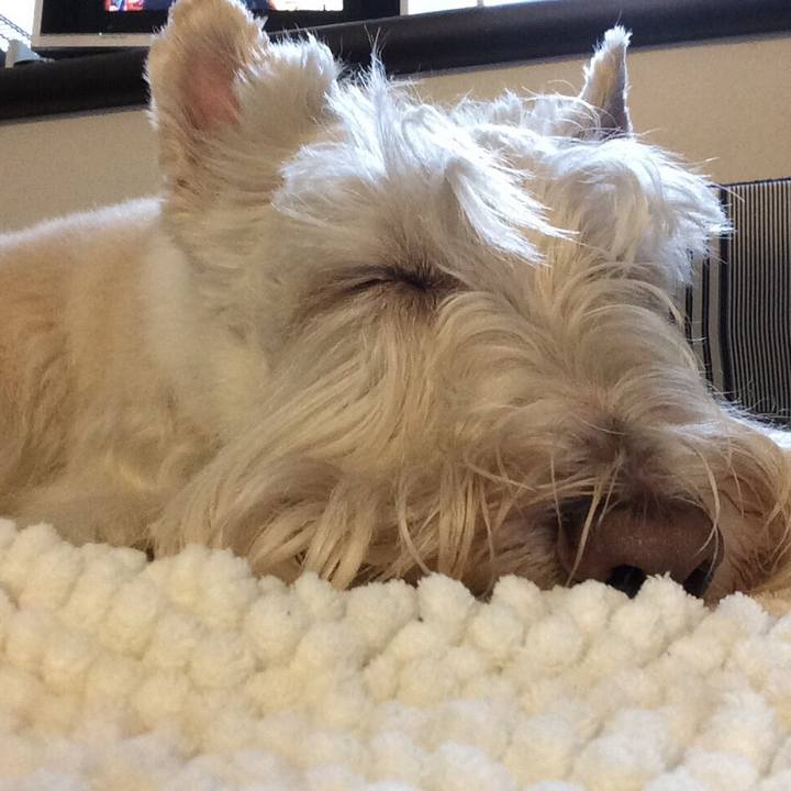 Fe3a346d 4d4c 4de8 b1a1 abf5bc26d7fc