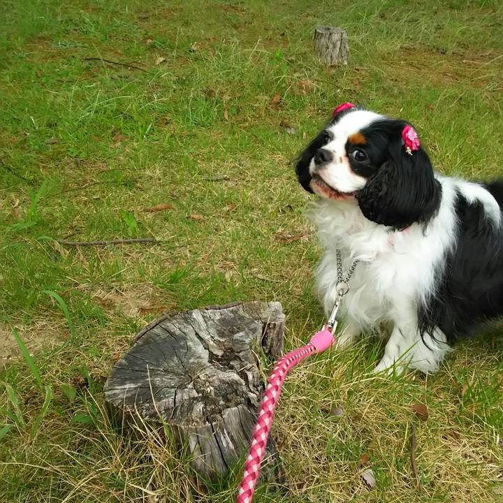 Fe3a5186 ebcf 4493 8105 eb587d02147e