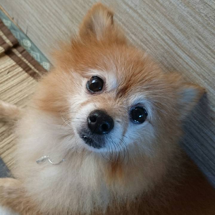 Fe3a6f7c 6dde 4404 96a0 ad55f3c5bbb4