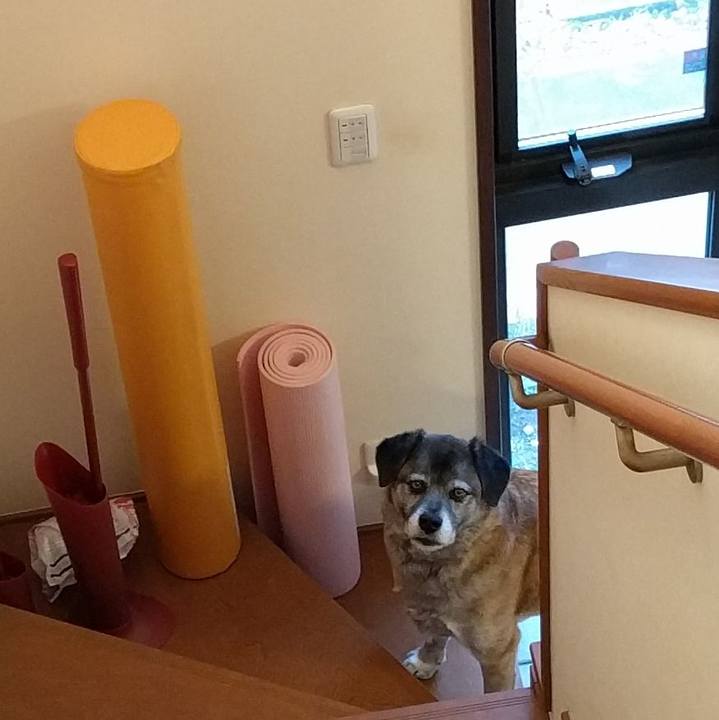 Fe3a9cf2 41ab 4b02 bf72 34249eebb235