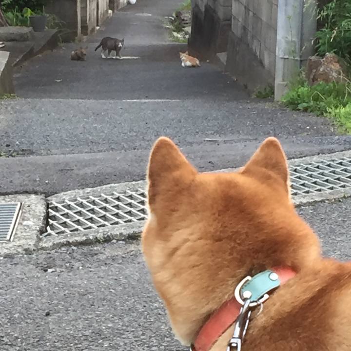 Fe3ab112 8cc7 40a0 a2a6 c8954a2b869e