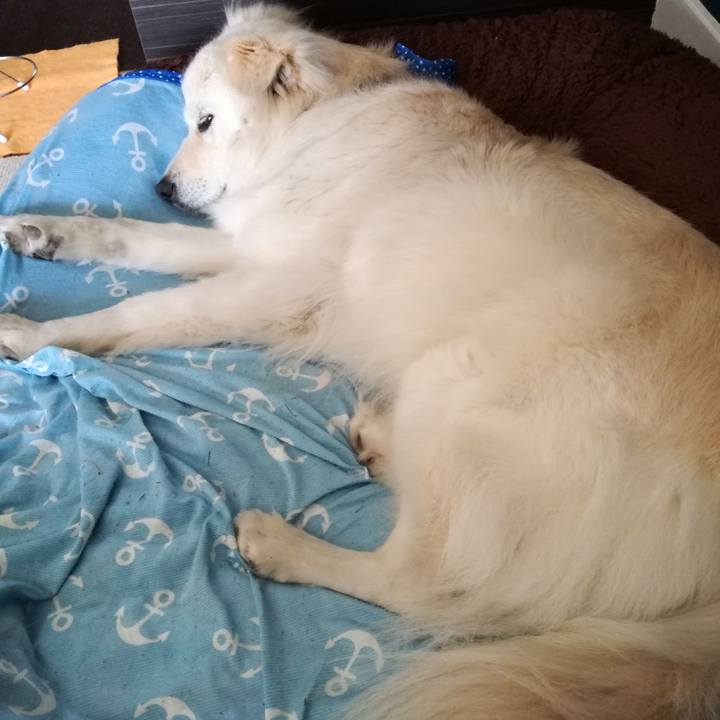 Fe3af254 de4d 439f b1b4 fa013af9a284