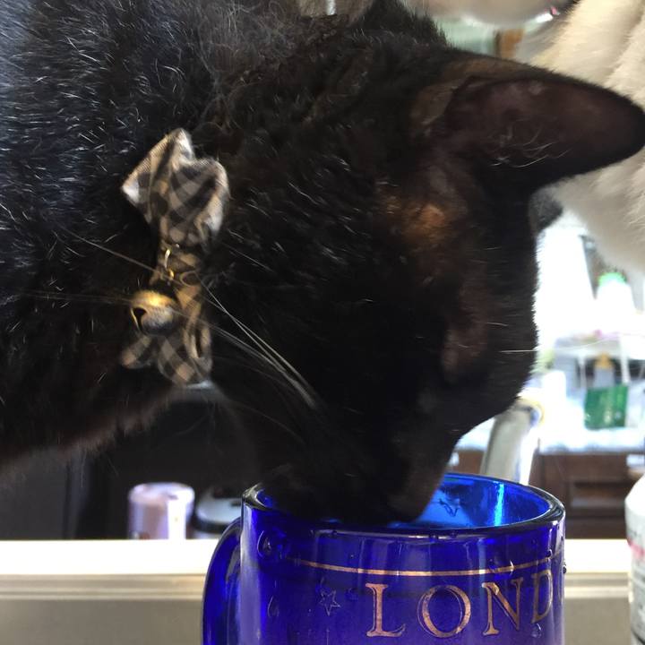 Fe3b6e26 8021 4481 8152 dfc82718e9e8