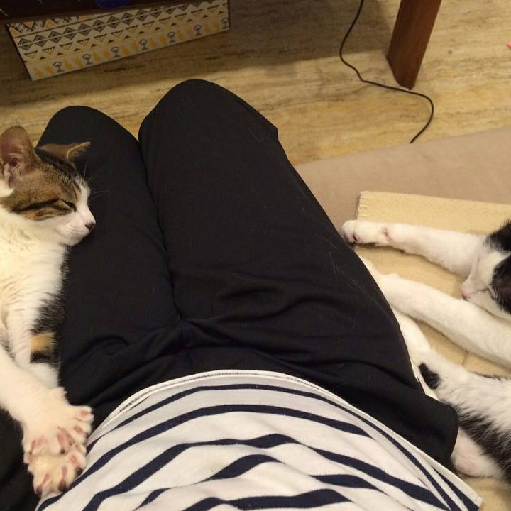 Fe3b7ffe 04a9 47c6 9362 5966ed36cdde