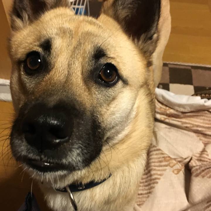 Fe3bed16 6d21 4553 ba81 1c0140ffb9ed