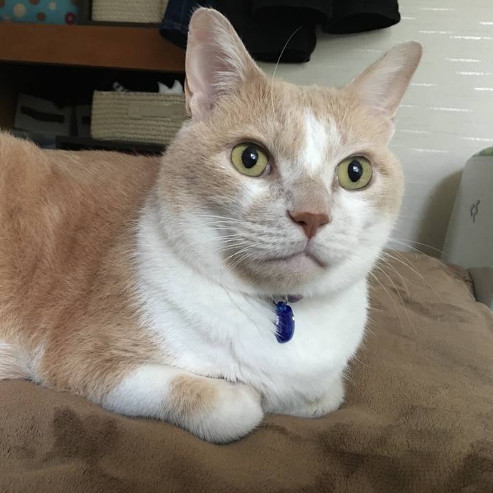 Fe3cb961 bc76 47b1 a65d 7a2be91145a4