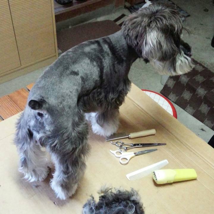 Fe3d1e26 52cd 49a9 b1e8 1dd4705807d4