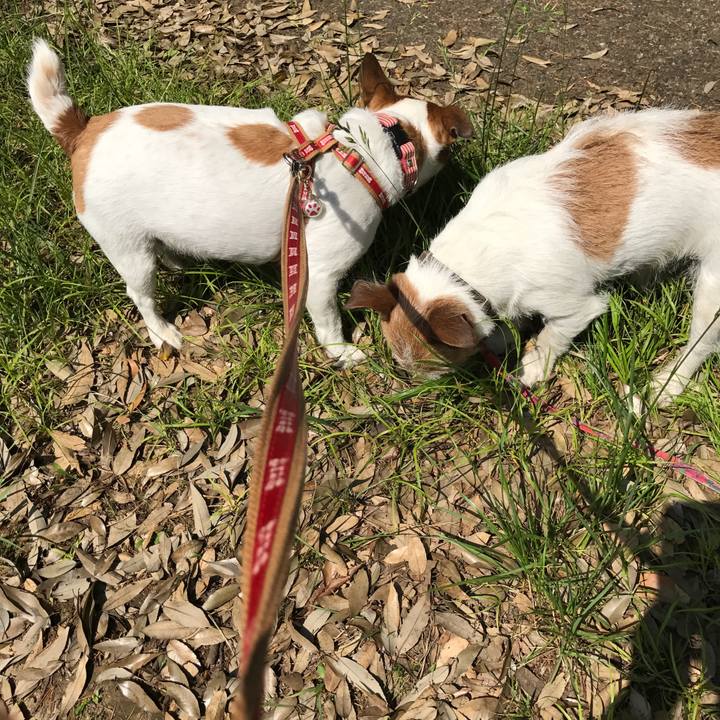 Fe3da159 26ae 4e02 a42f 926591fc75ed