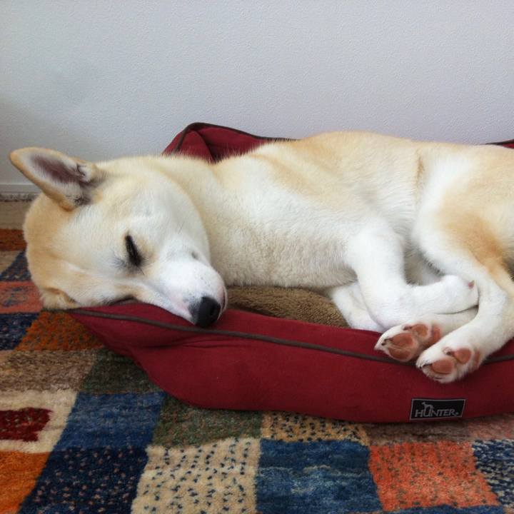 Fe3e1e48 c6b2 4faa 9ca1 63a3aa73d5ee