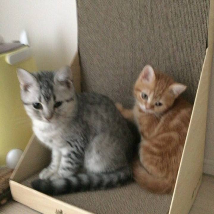 Fe3eb73a 0f5e 49eb 8e52 74292c7ba3bd