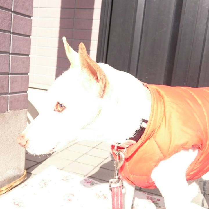 Fe3ffb1b 865f 41f4 a962 3b3e4ac33994