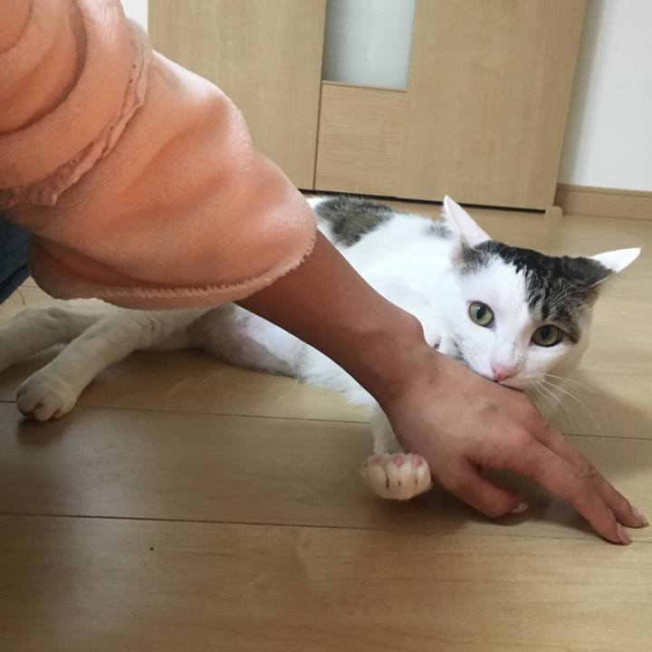 Fe4094ed 5dd2 4e51 8d00 99c6b08ec85f