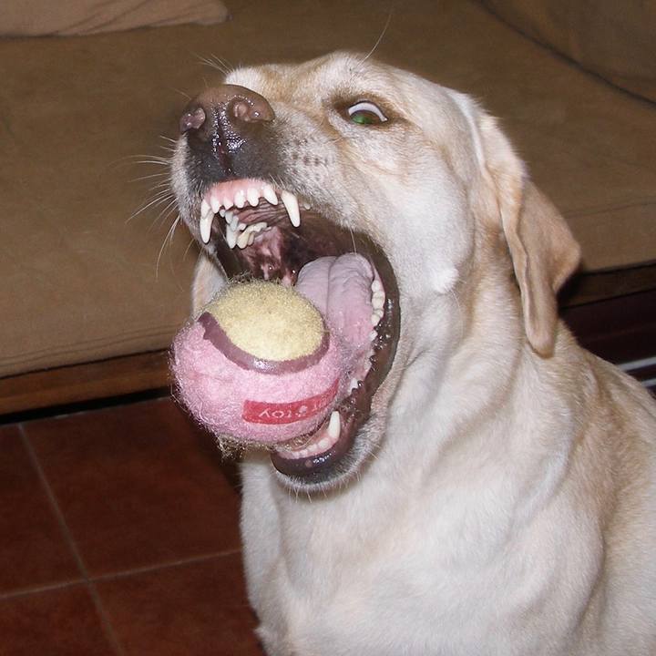 Fe41b911 2544 45fe addd 69bea2e1cfab