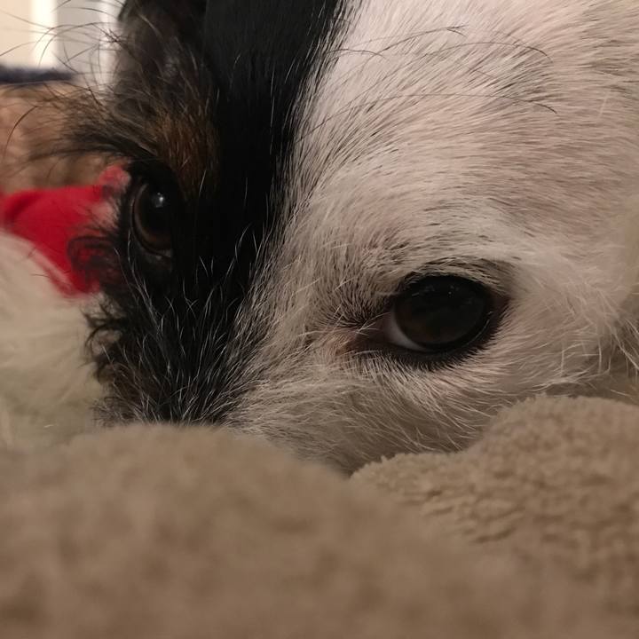 Fe42699f e781 465b 96e2 a4fc23554db2