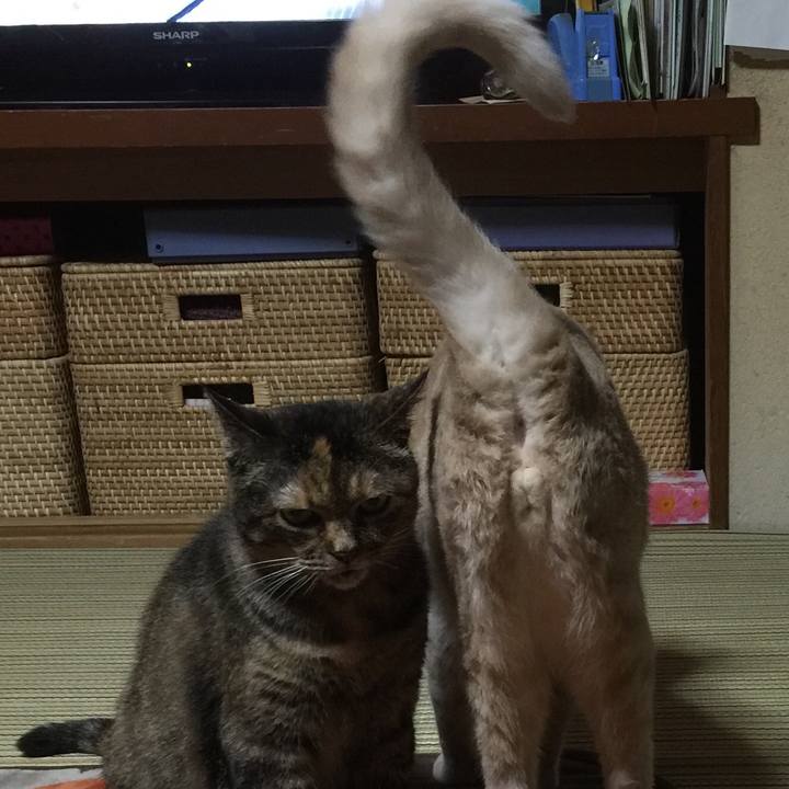 Fe42fb1c 39b0 40b0 8650 3843f5b899e5