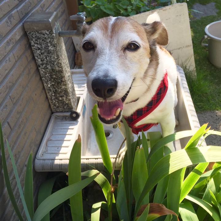 Fe431465 f48d 4a38 9748 276737efb9dd