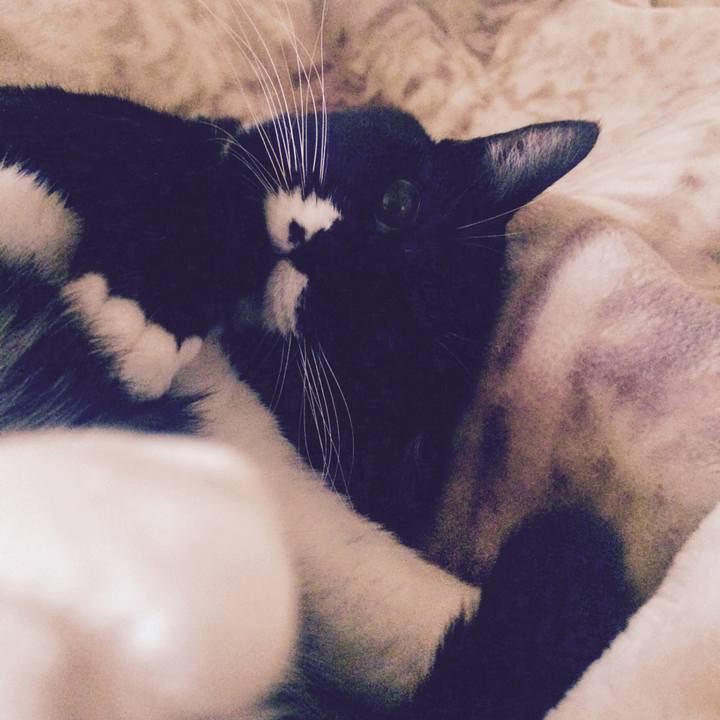 Fe436c7f 3925 43da a751 0ae8faa396bb