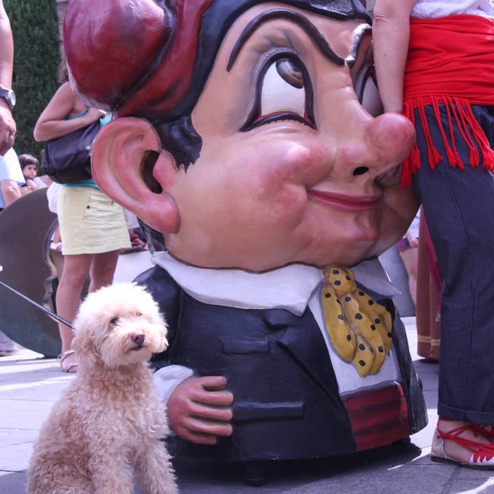 Fe438ee2 6a58 4974 81bf 0e422470293a