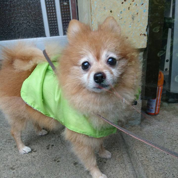 Fe43a06d 0d46 44a8 a1e6 bed90a8f7b90