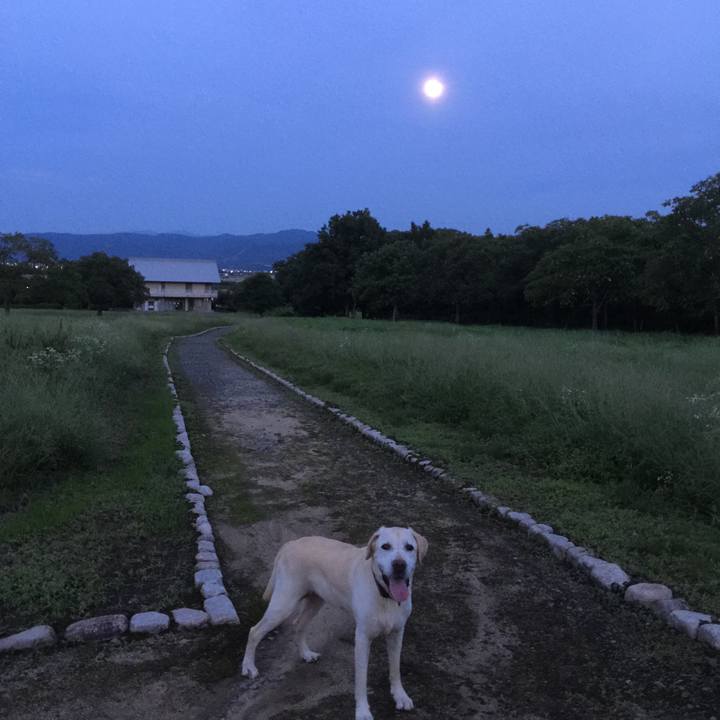 Fe43bf49 8810 4475 bdce e63f43e95c5e