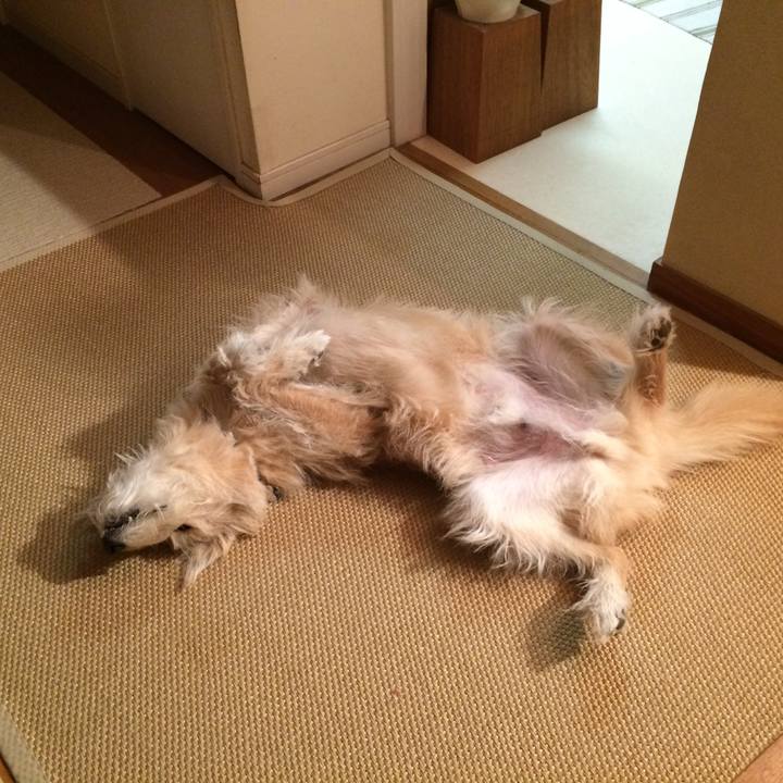 Fe43f407 e1b5 4940 9d79 9db11825f08e