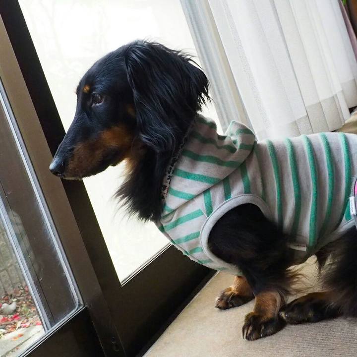 Fe444068 e886 4963 b999 ff3a00675788